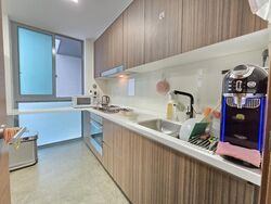 Double Bay Residences (D18), Condominium #481015201